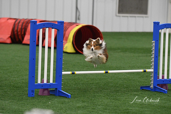 DigitalDSC_9776