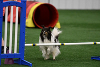 DigitalDSC_9769
