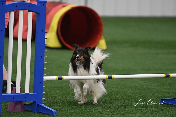 DigitalDSC_9769