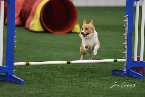 DigitalDSC_9750