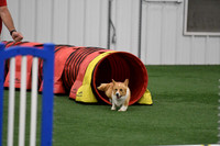 DigitalDSC_9748
