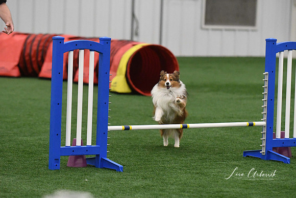 DigitalDSC_9775