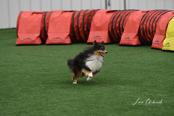 DigitalDSC_9795