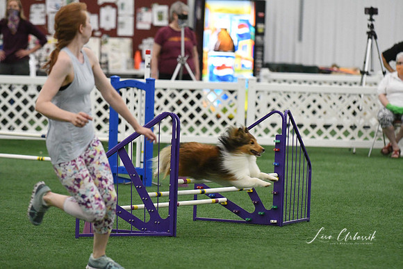 DigitalDSC_9837