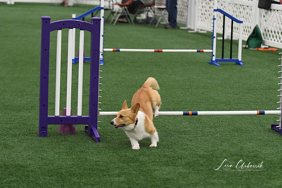 DigitalDSC_9756