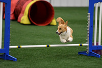 DigitalDSC_9751