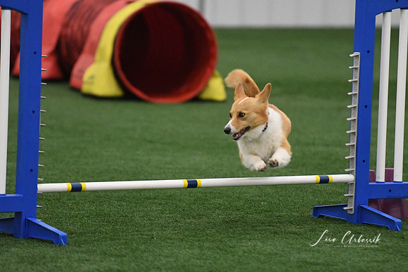 DigitalDSC_9751