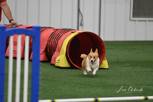 DigitalDSC_9749