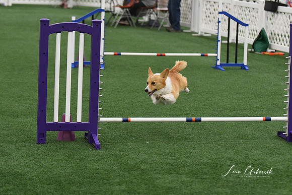 DigitalDSC_9755
