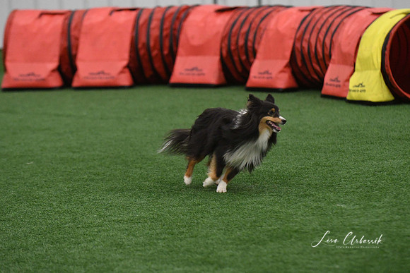 DigitalDSC_9796