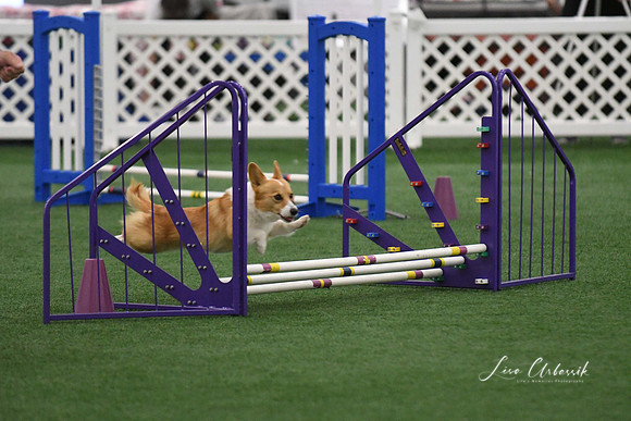 DigitalDSC_9753