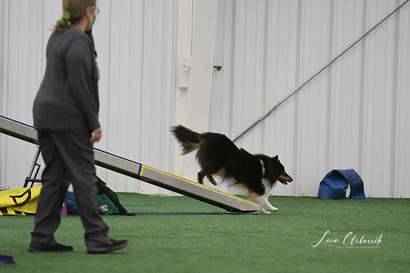 DigitalDSC_0018
