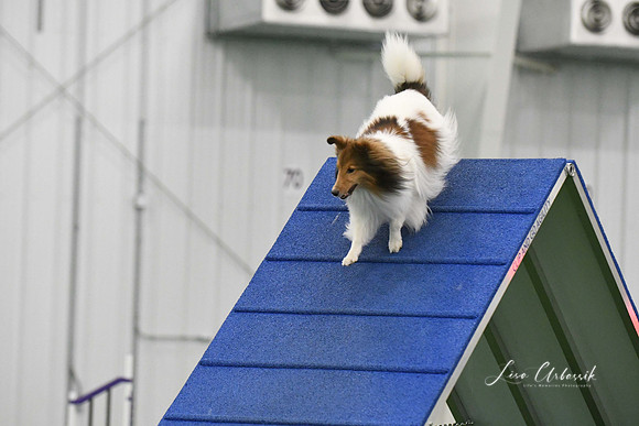 DigitalDSC_0034