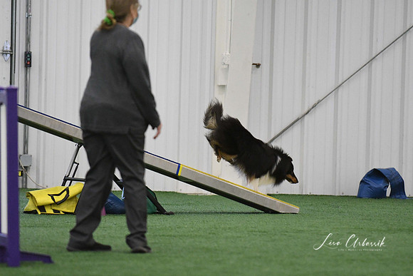 DigitalDSC_0017