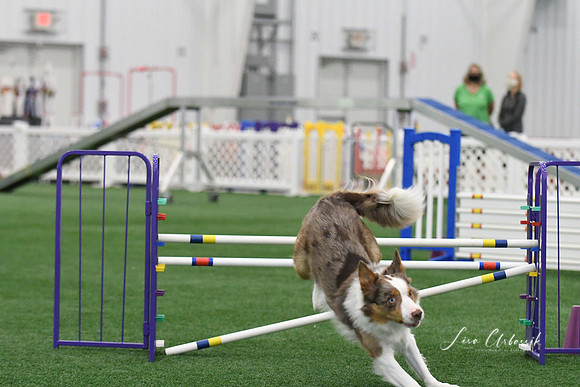 DigitalDSC_0104