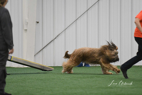 DigitalDSC_0080