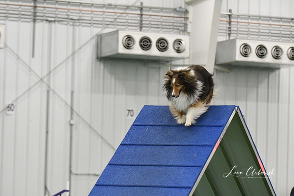 DigitalDSC_0011