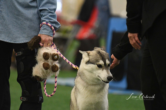 DigitalDSC_0093