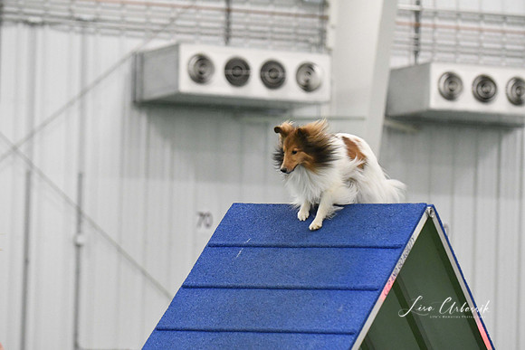 DigitalDSC_0032