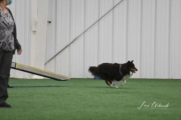 DigitalDSC_0022