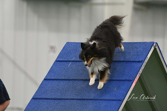 DigitalDSC_0001