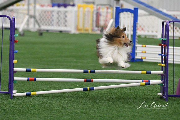 DigitalDSC_9967