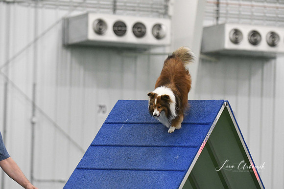 DigitalDSC_9961
