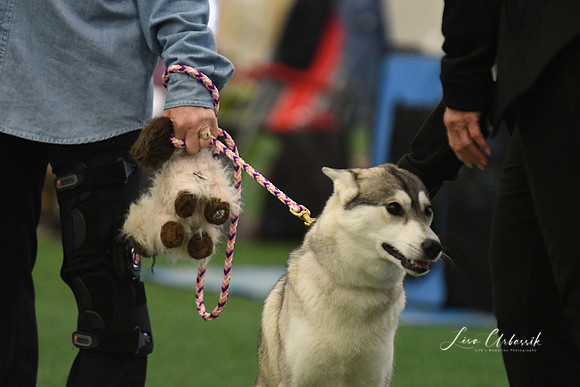 DigitalDSC_0094