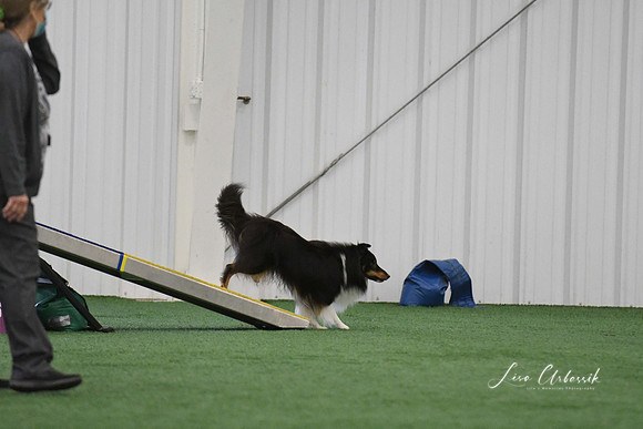 DigitalDSC_0019