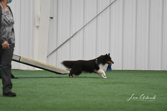 DigitalDSC_0021