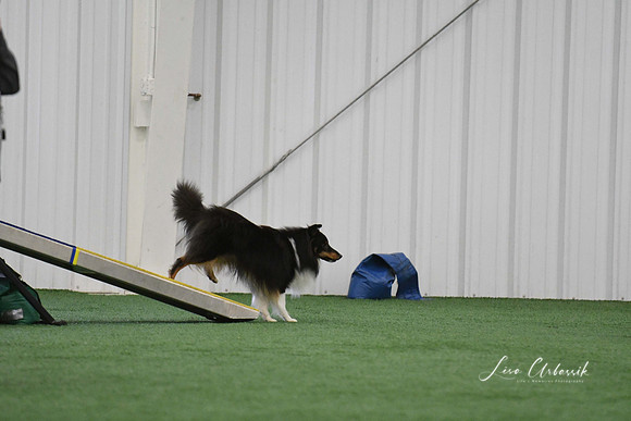 DigitalDSC_0020