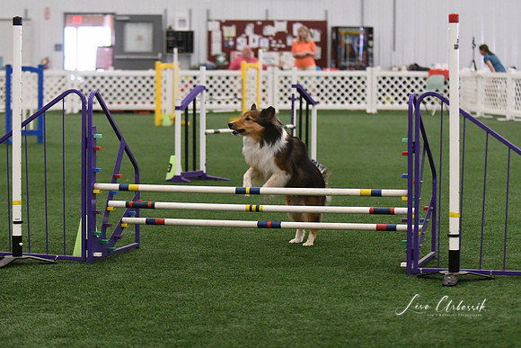 DSC_2203