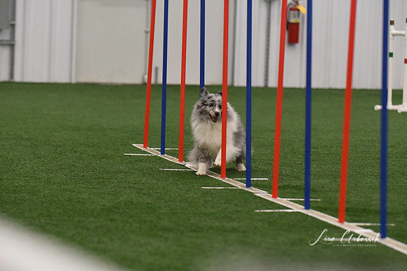 DSC_2280