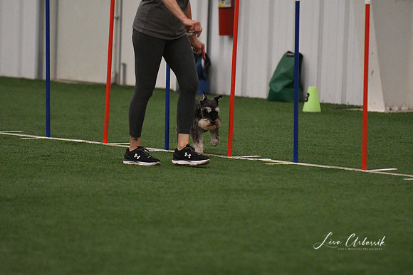 DSC_9264