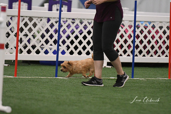 DSC_2029