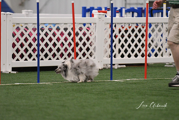 DSC_2018
