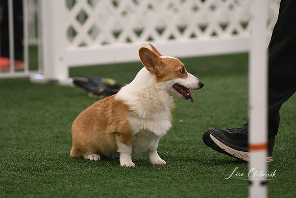 DSC_1945