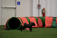 DSC_6778