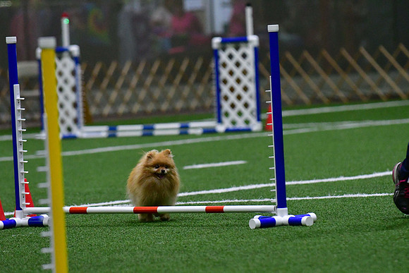 LMP_7116