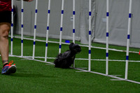 LMP_7041