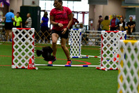 LMP_7047