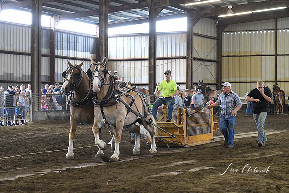 DSC_0923