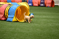 Jumpers 1 2