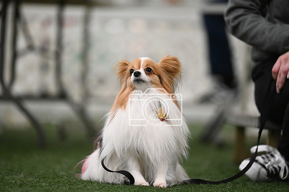 LMP_1745
