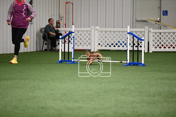 LMP_1800