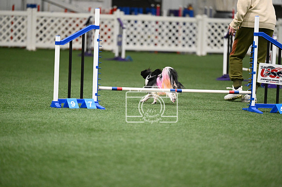 LMP_1846