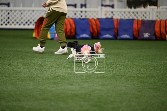 LMP_0614