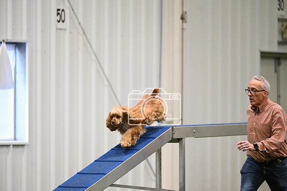 LMP_8958