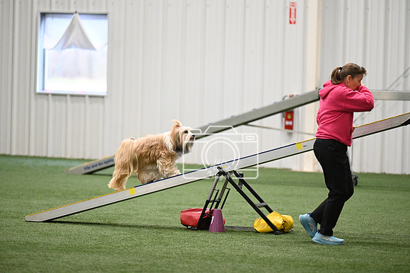 LMP_8578