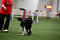 LMP_9653